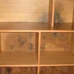 下雨天這么長竹木制品工廠怎么預(yù)防發(fā)霉