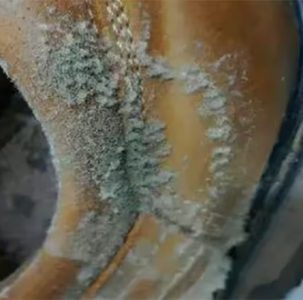 鞋子發(fā)霉怎么辦？